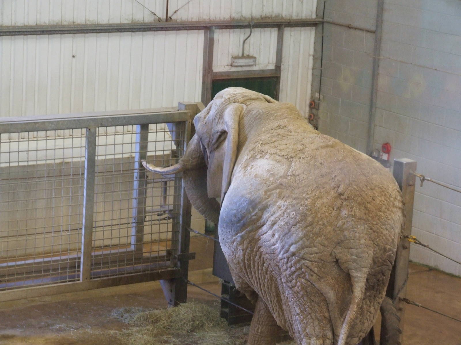 Paignton Zoo 08/03/2014