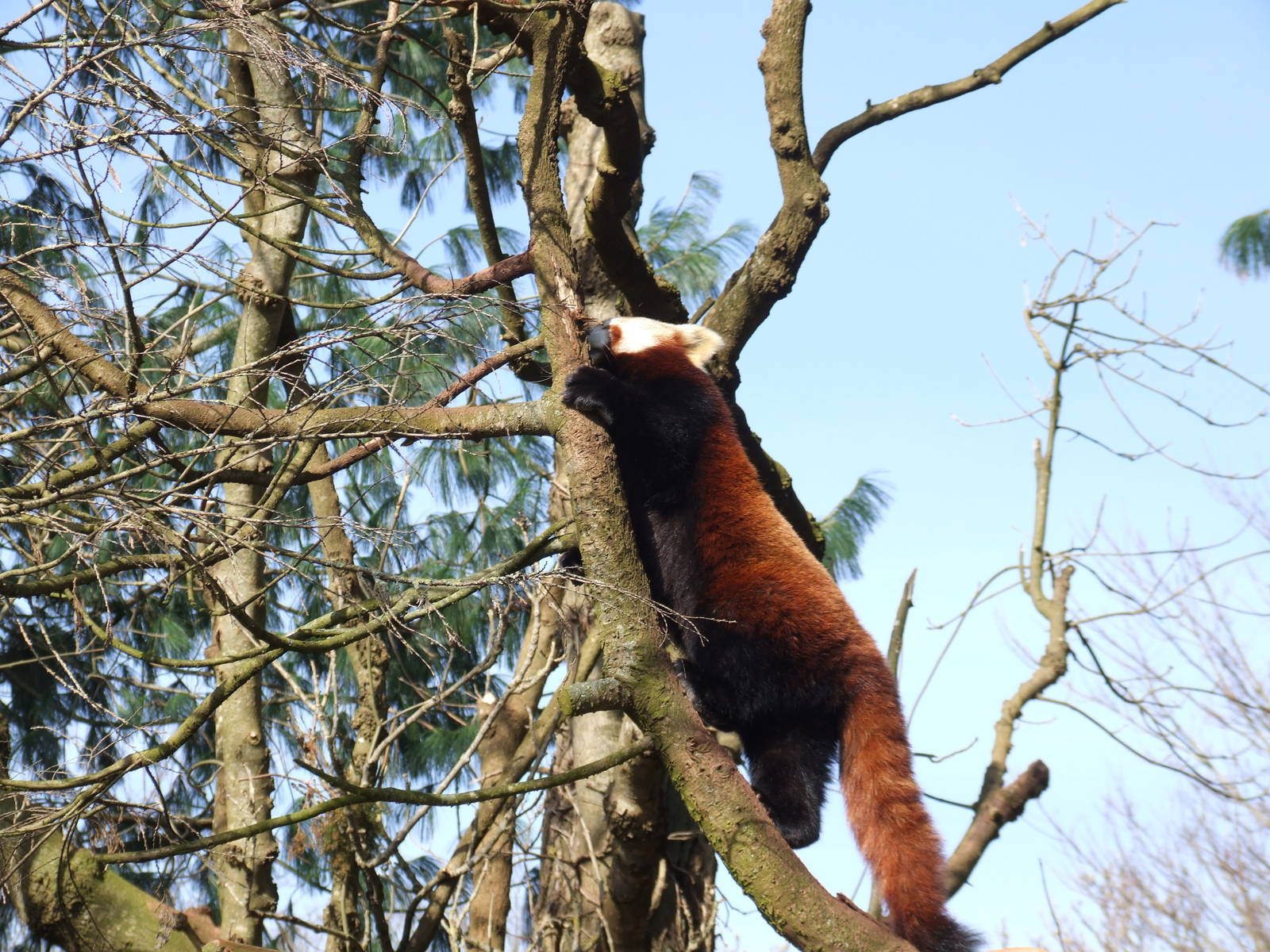 Paignton Zoo 08/03/2014