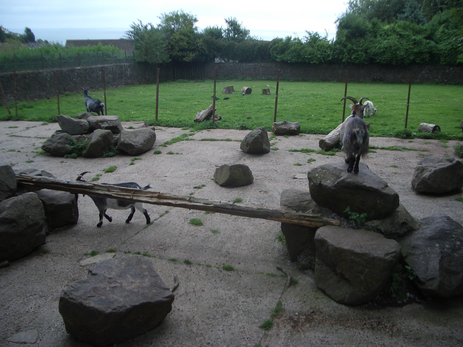 Paignton Zoo - 27.07.2010