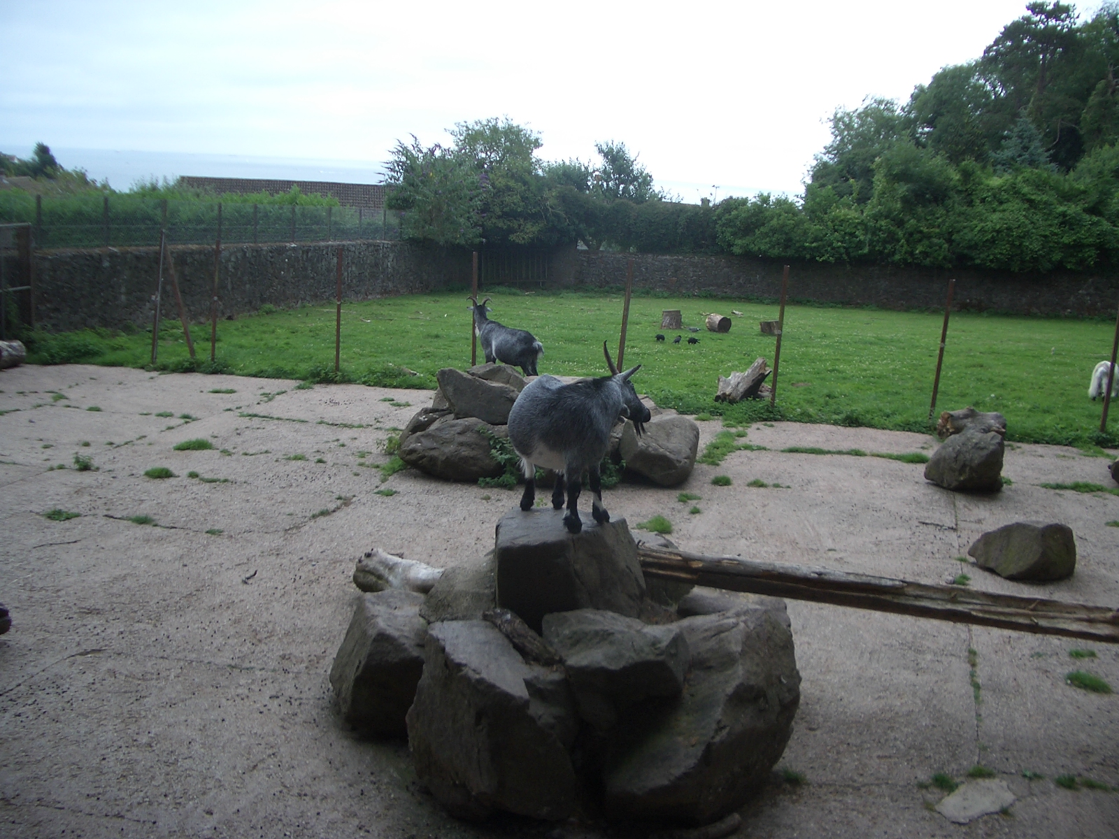 Paignton Zoo - 27.07.2010