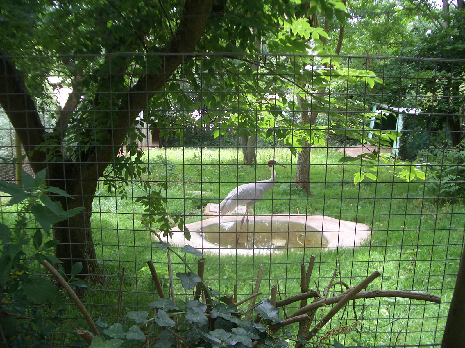 Paignton Zoo - 27.07.2010