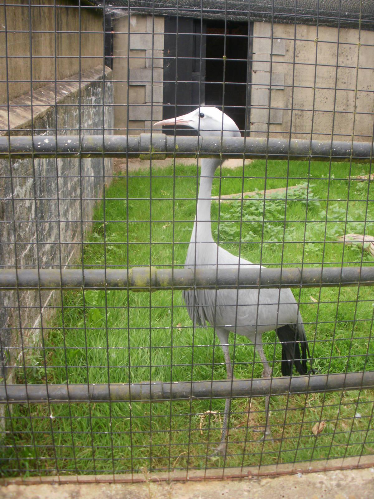 Paignton Zoo - 27.07.2010