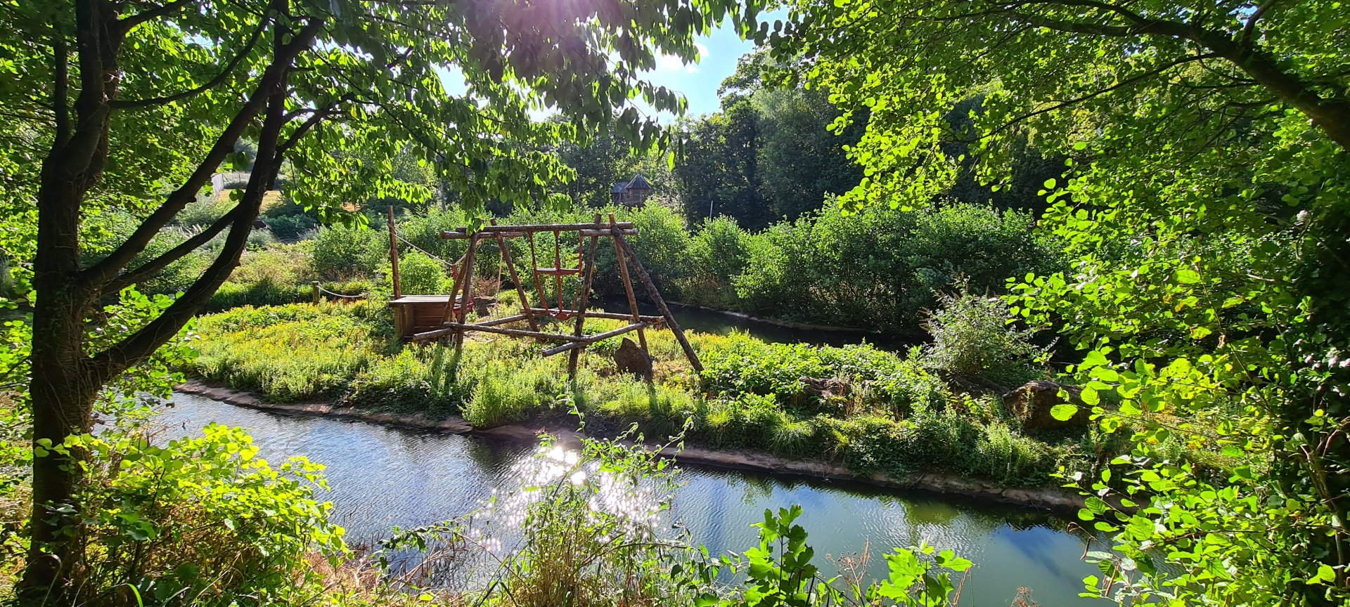 Paignton Zoo Bornean Orangutan Island