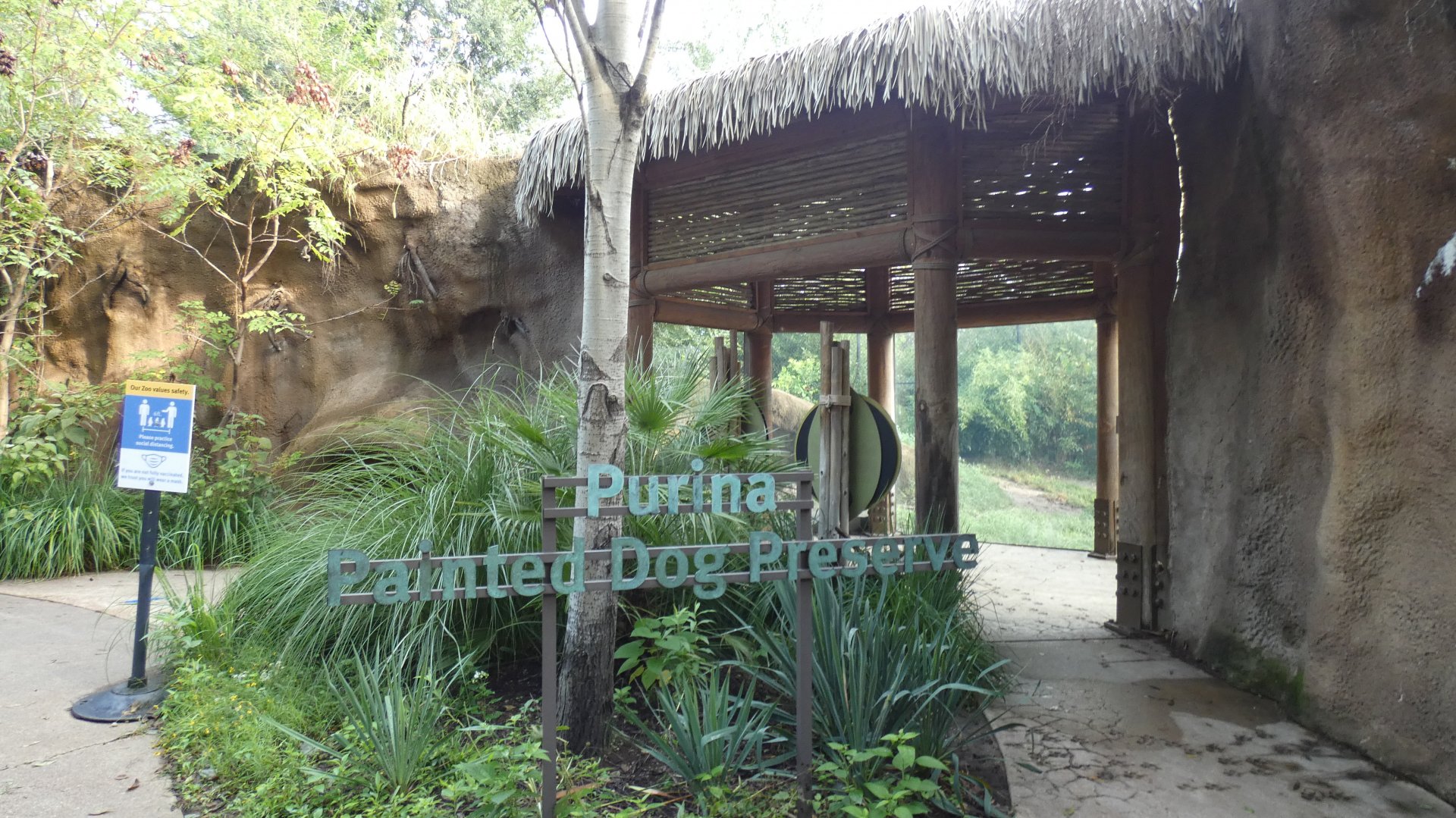 Pained Dog Preserve, Africa, River's Edge - Sep. 2021