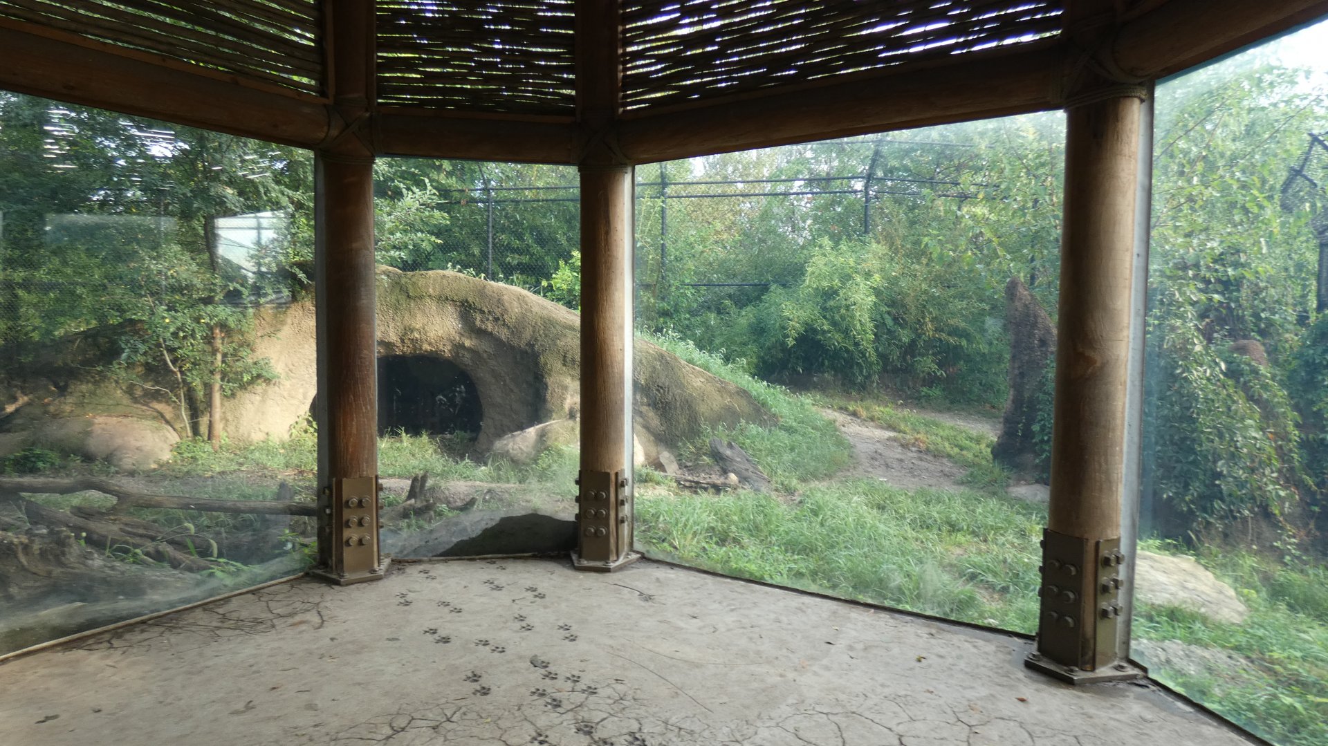 Pained Dog Preserve, Africa, River's Edge - Sep. 2021