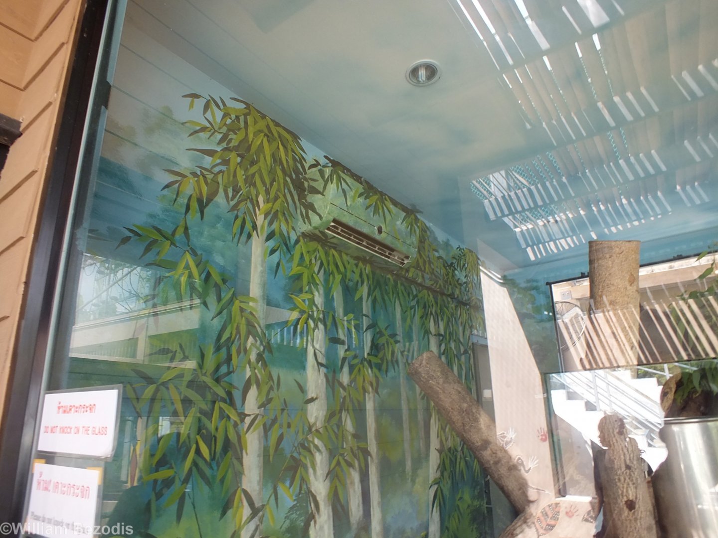 Painted Air Conditioning in the Koala House
