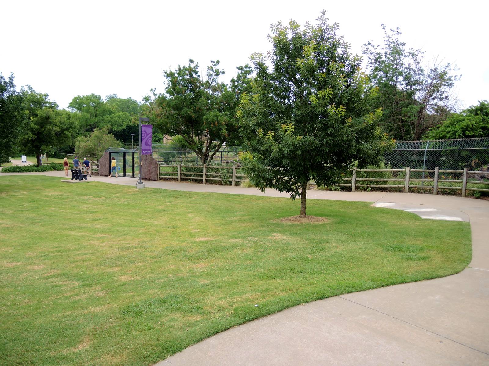 Painted Dog/Dik-Dik/Meerkat Area