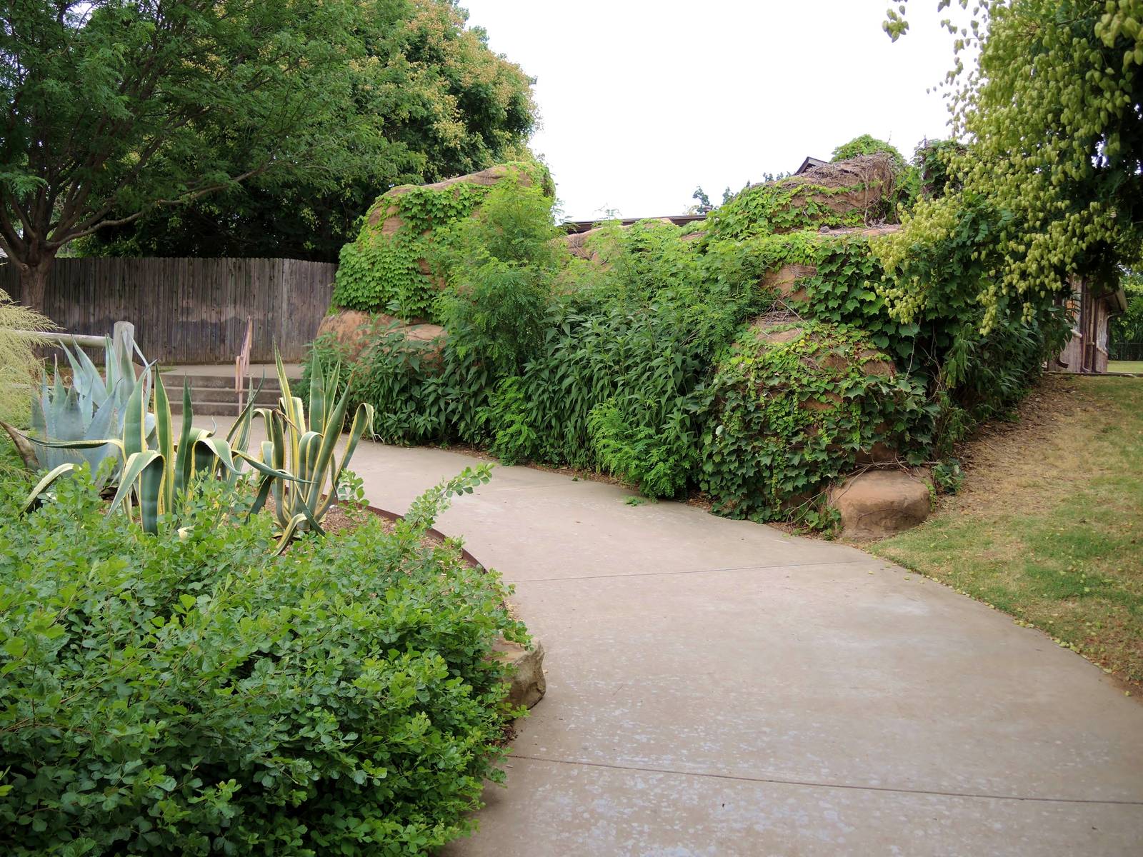 Painted Dog/Dik-Dik/Meerkat Area