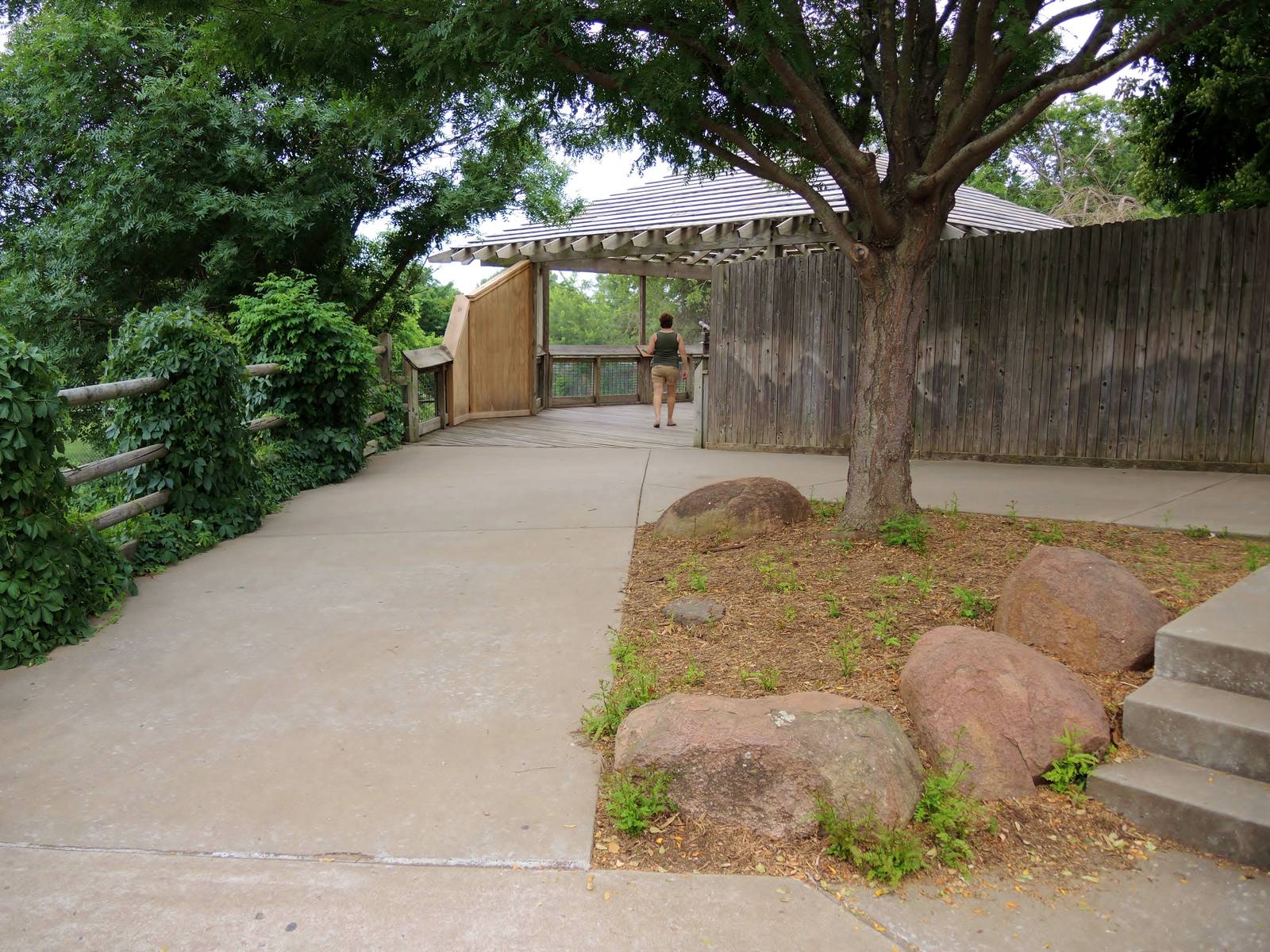 Painted Dog/Dik-Dik/Meerkat Area