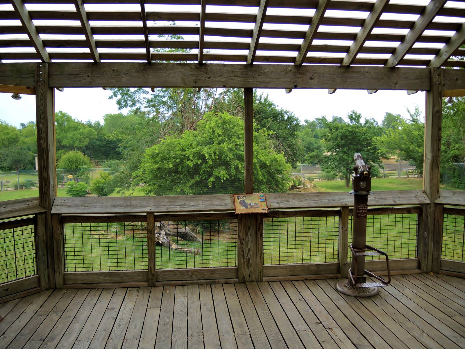 Painted Dog/Dik-Dik/Meerkat Area
