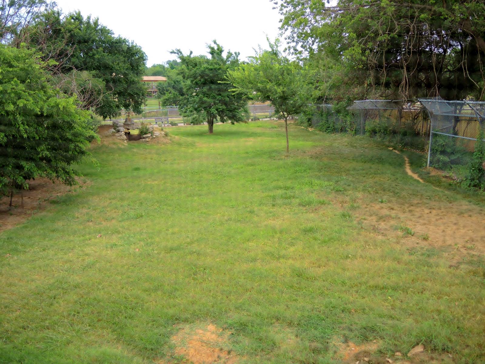 Painted Dog/Dik-Dik/Meerkat Area