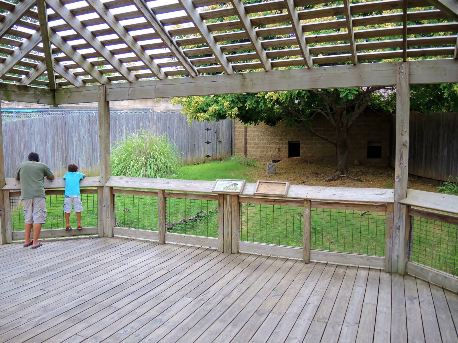 Painted Dog/Dik-Dik/Meerkat Area