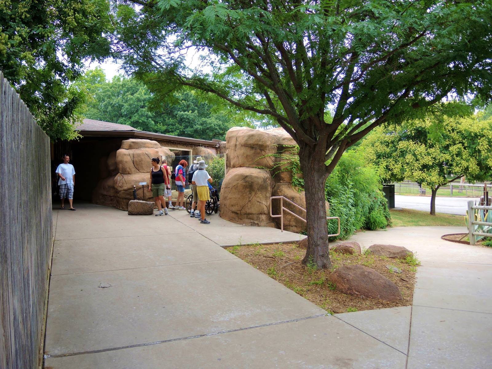 Painted Dog/Dik-Dik/Meerkat Area