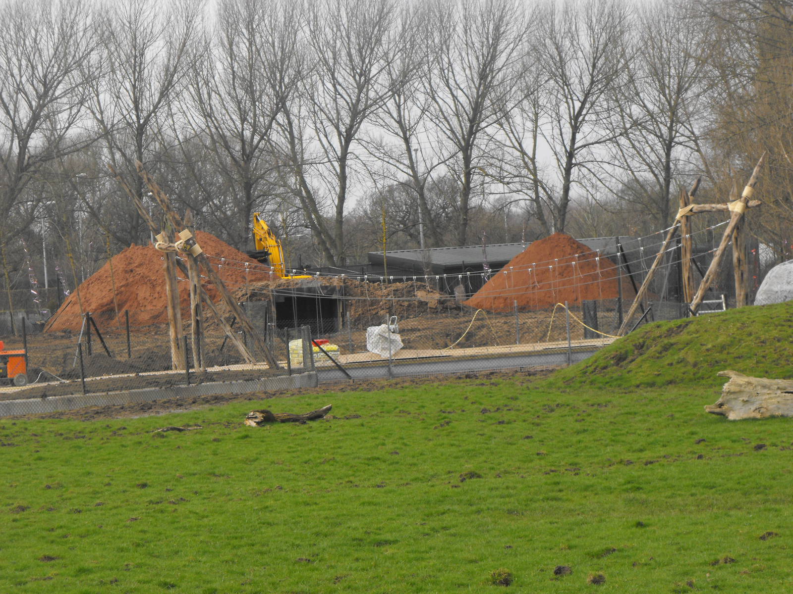 Painted Dog Enclosure Developments