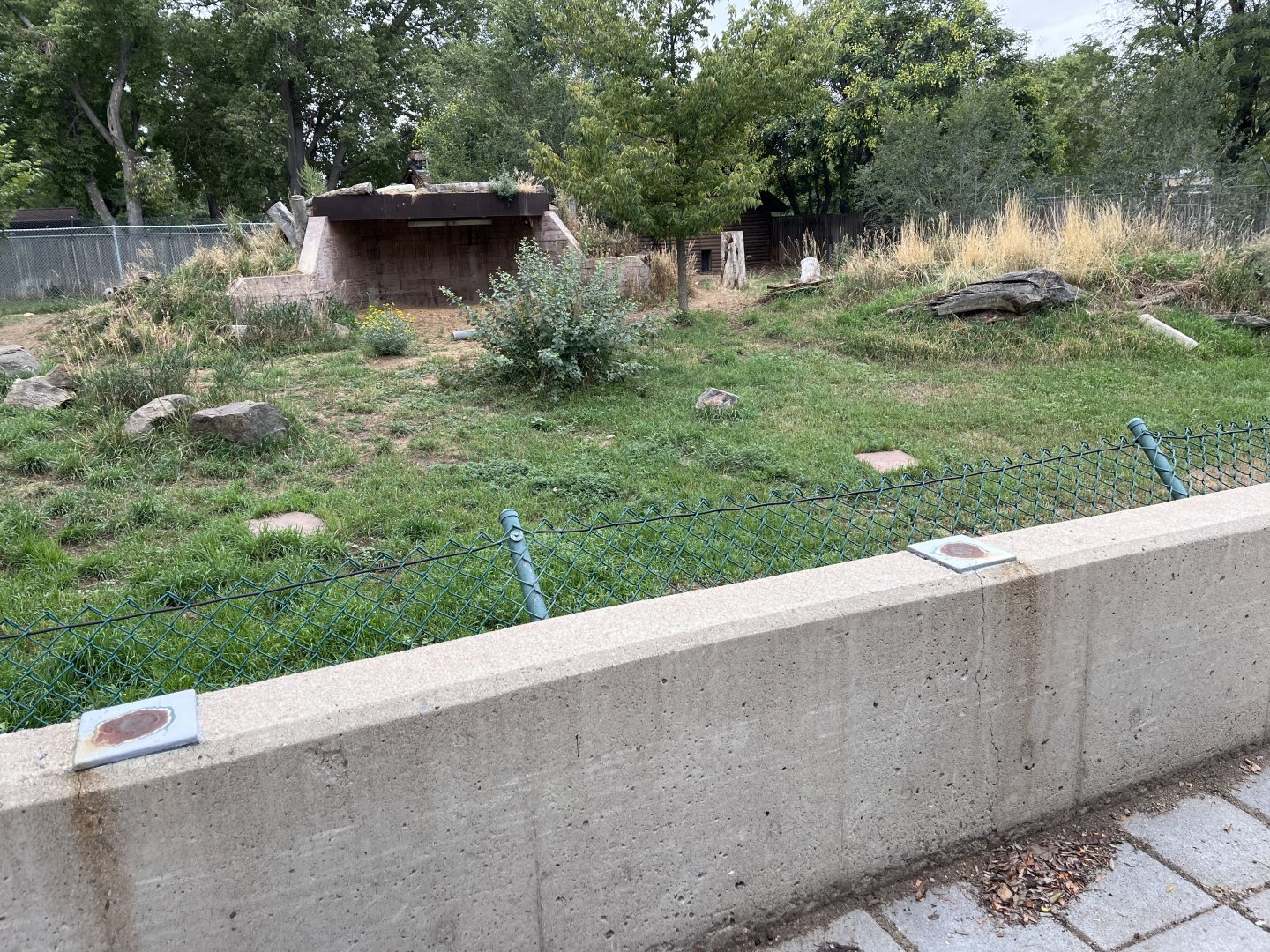 painted dog enclosure