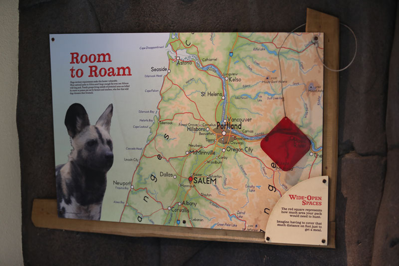 painted dog graphic (excellent)