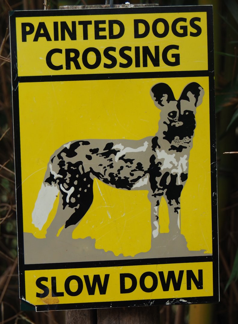 Painted dogs crossing sign, 2019-08-11