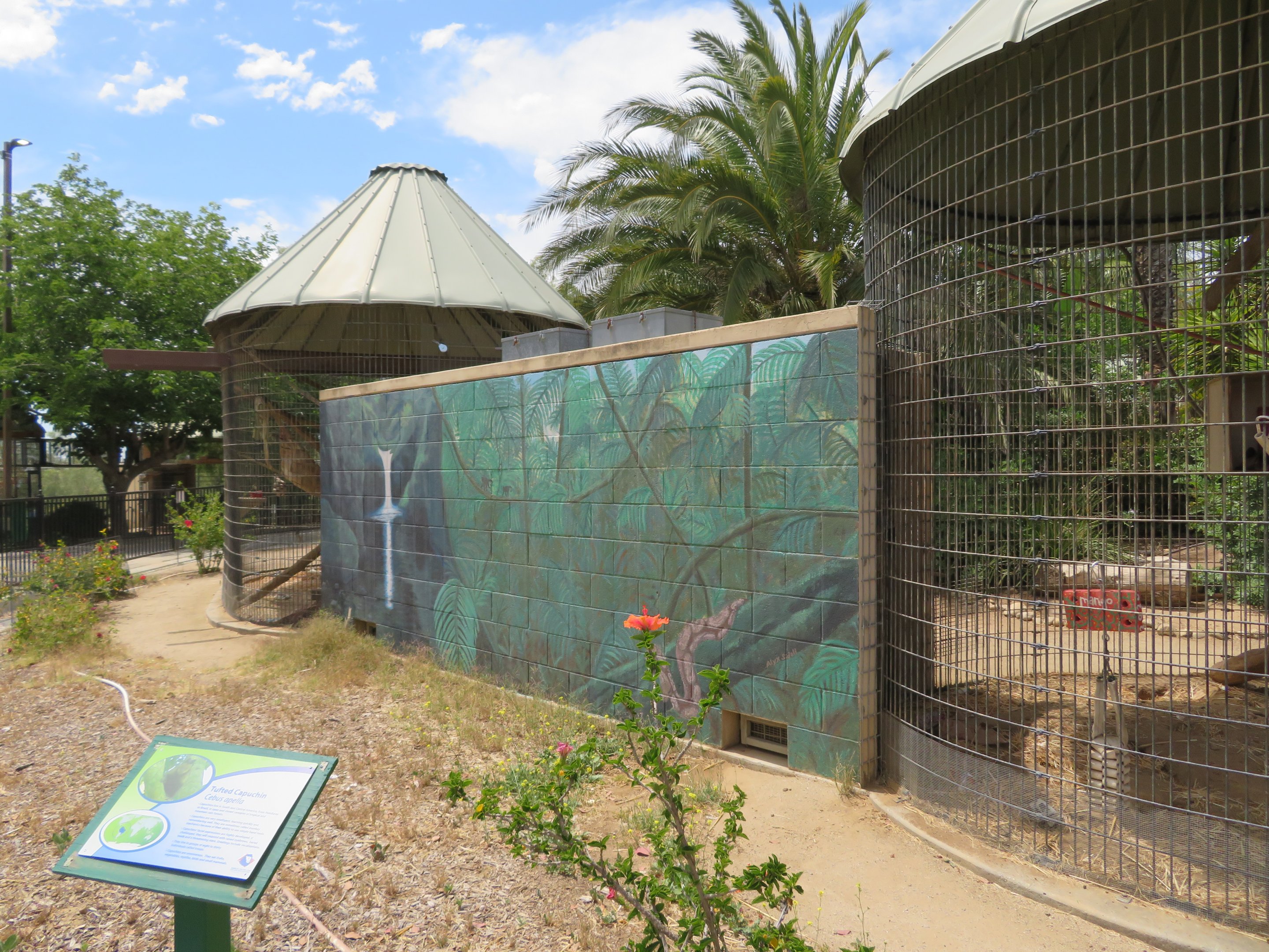 Painted Enclosure Bridge