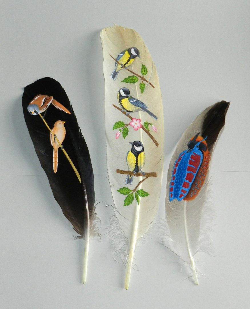 Painted feathers