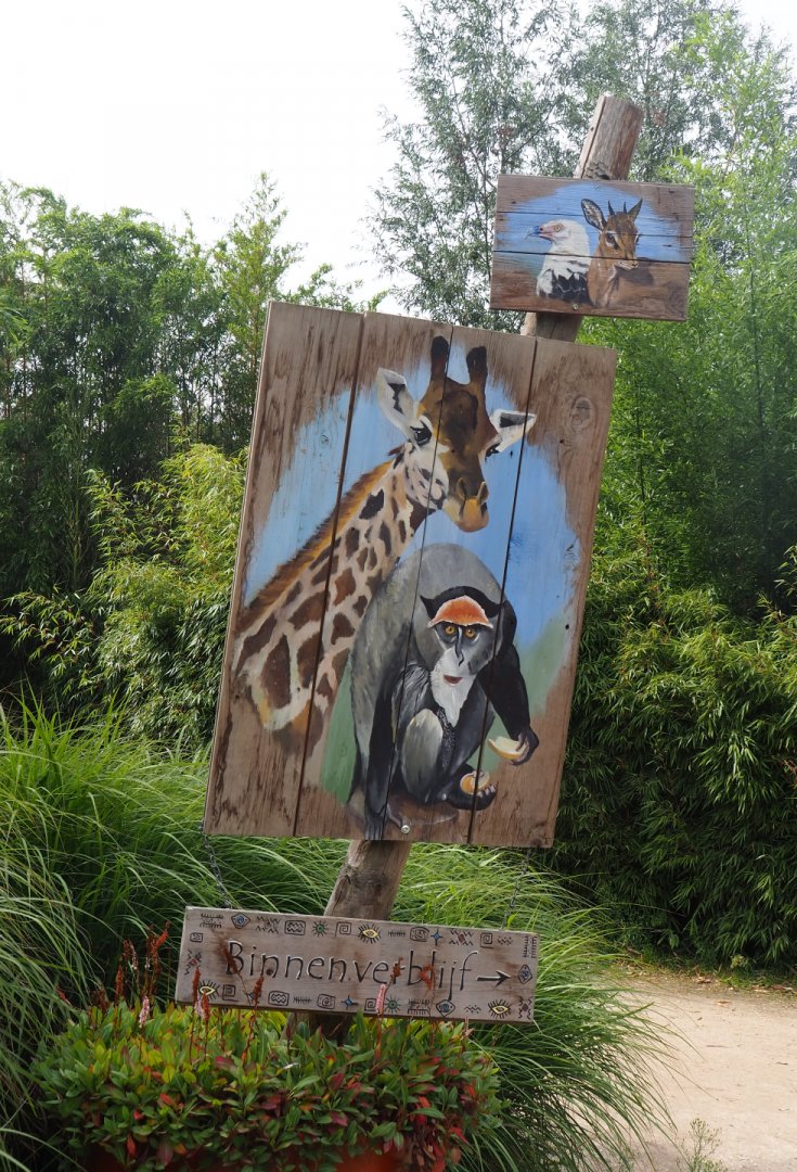 Painted signs pointing towards giraffe and guenon indoor housing and mixed aviary, 2019-08-11