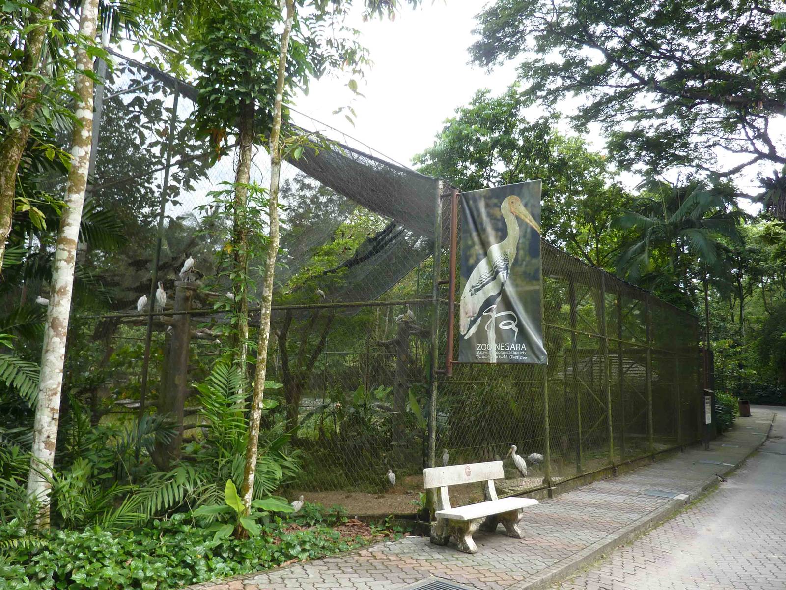 Painted stork aviary, May 2013.