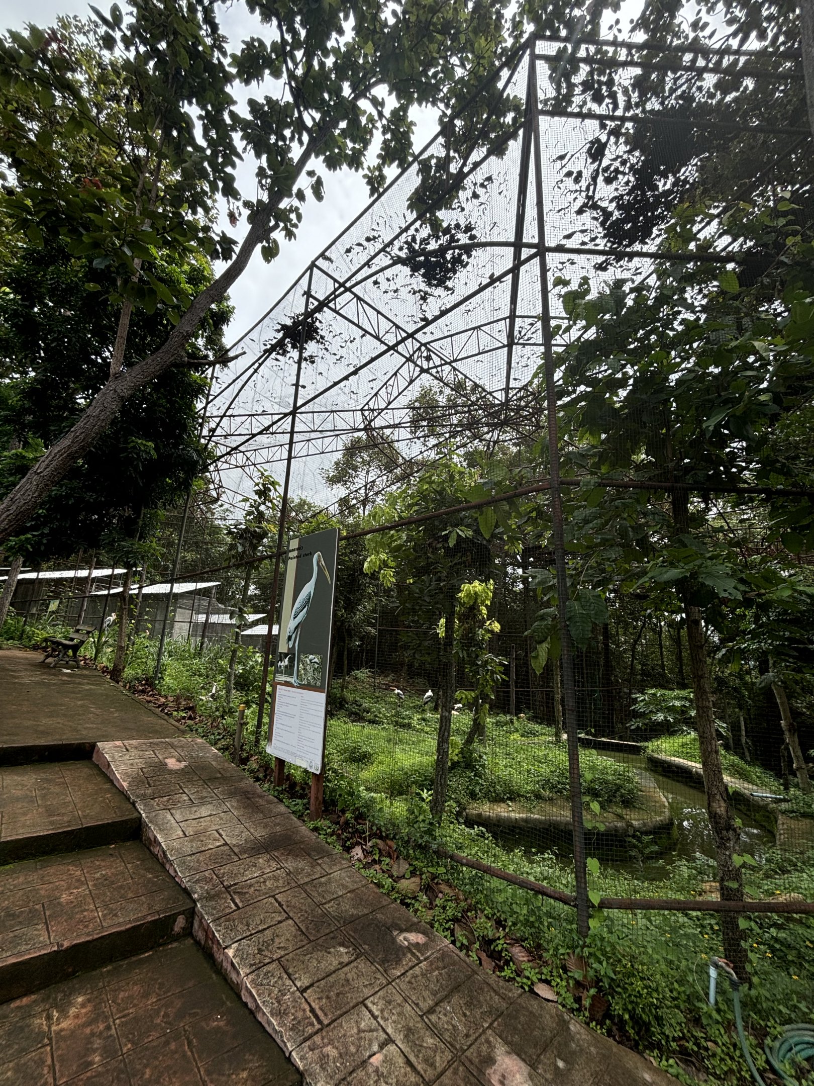 Painted Stork Aviary