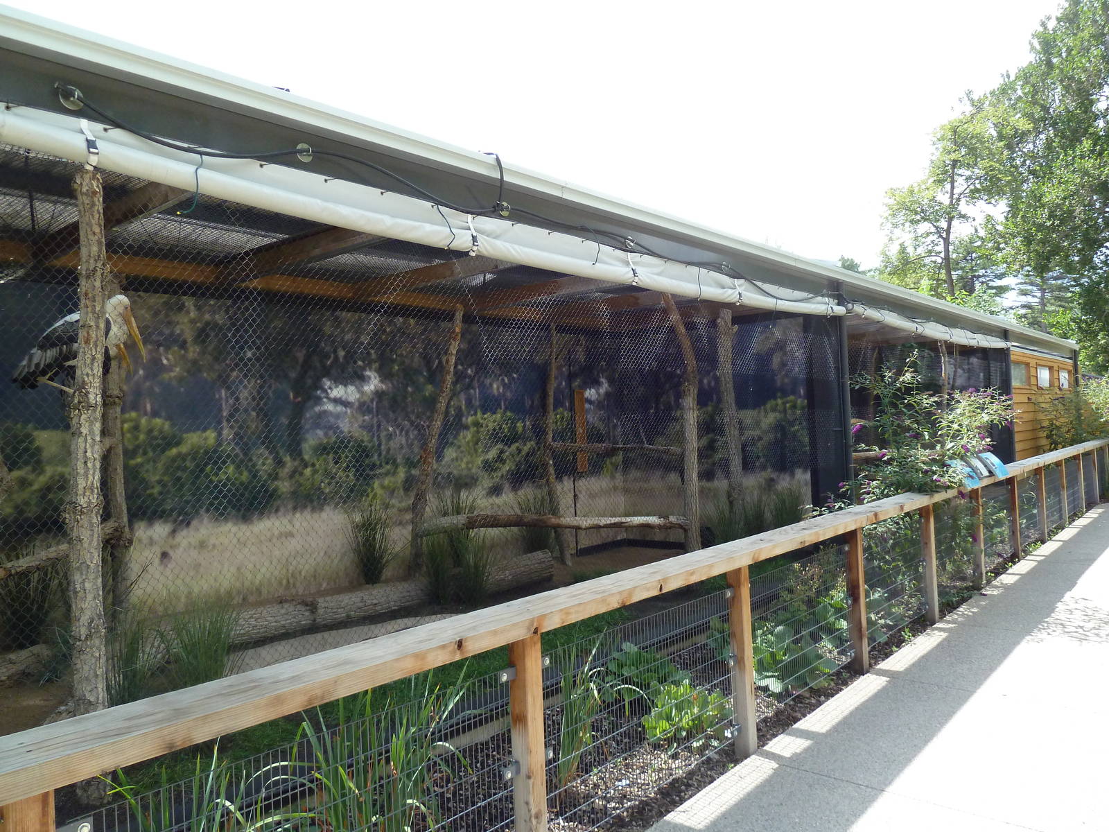 Painted Stork Exhibit