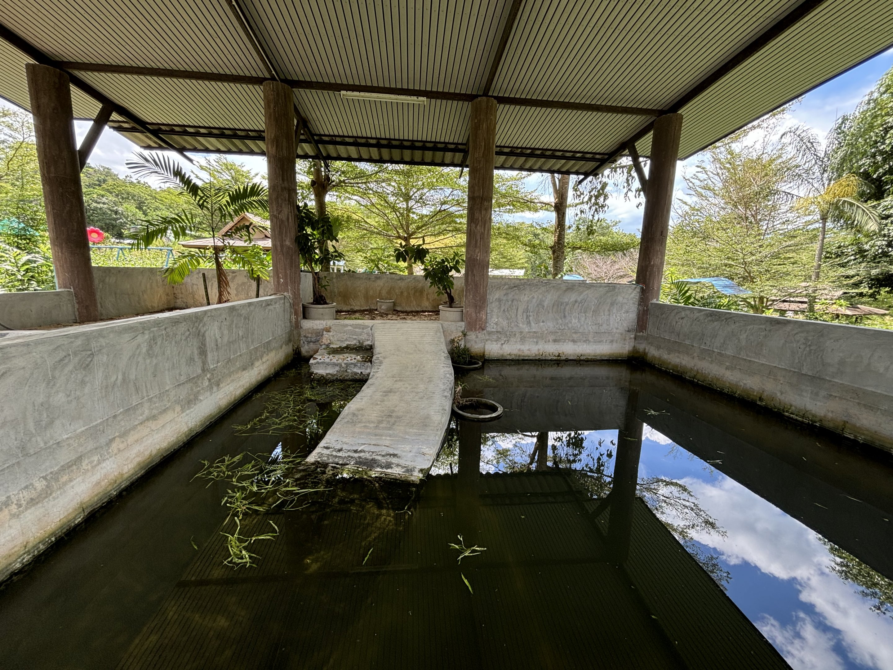 Painted Terrapin + Northern River Terrapin Exhibit