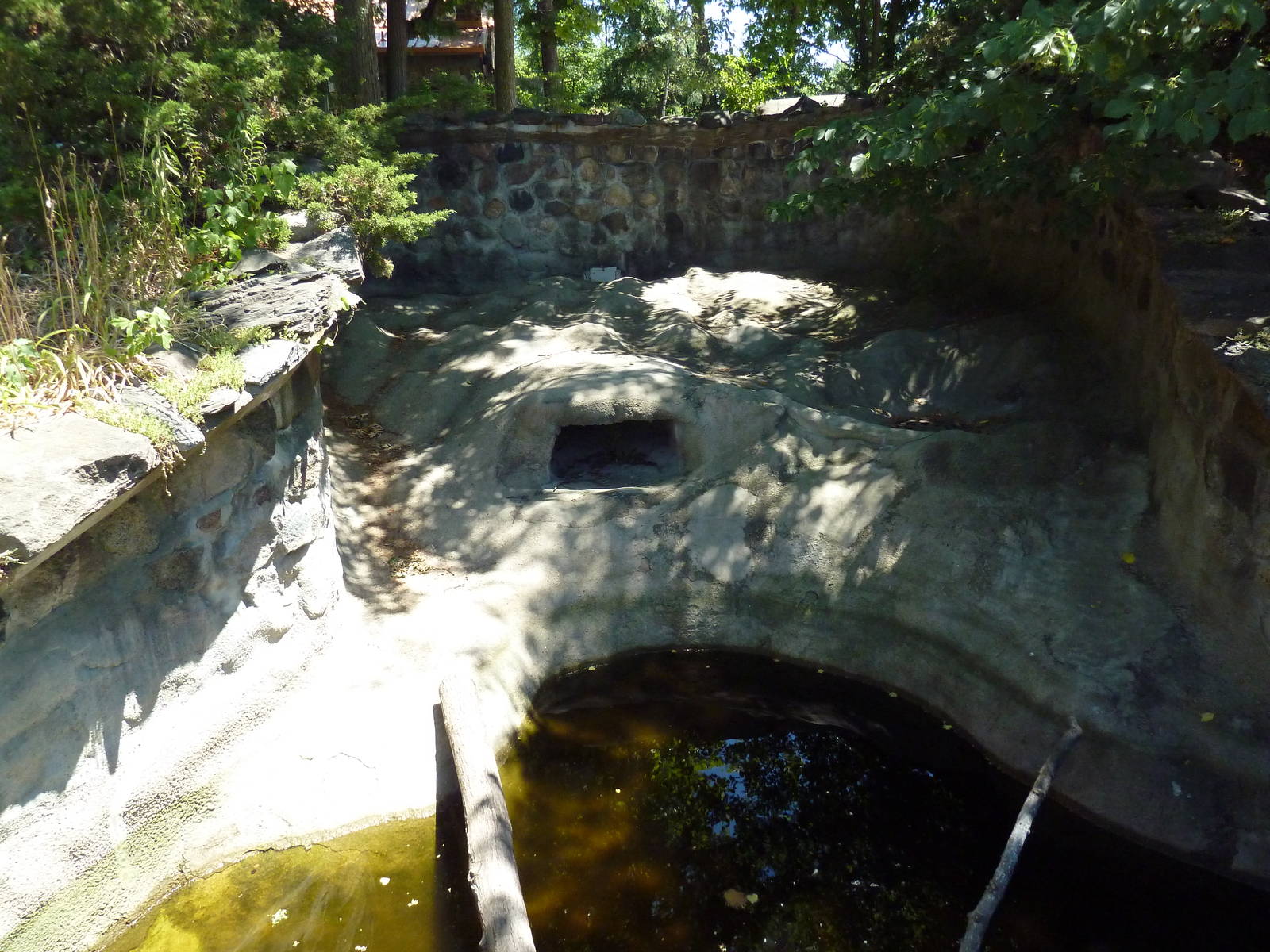 Painted Turtle/Mud Turtle Exhibit