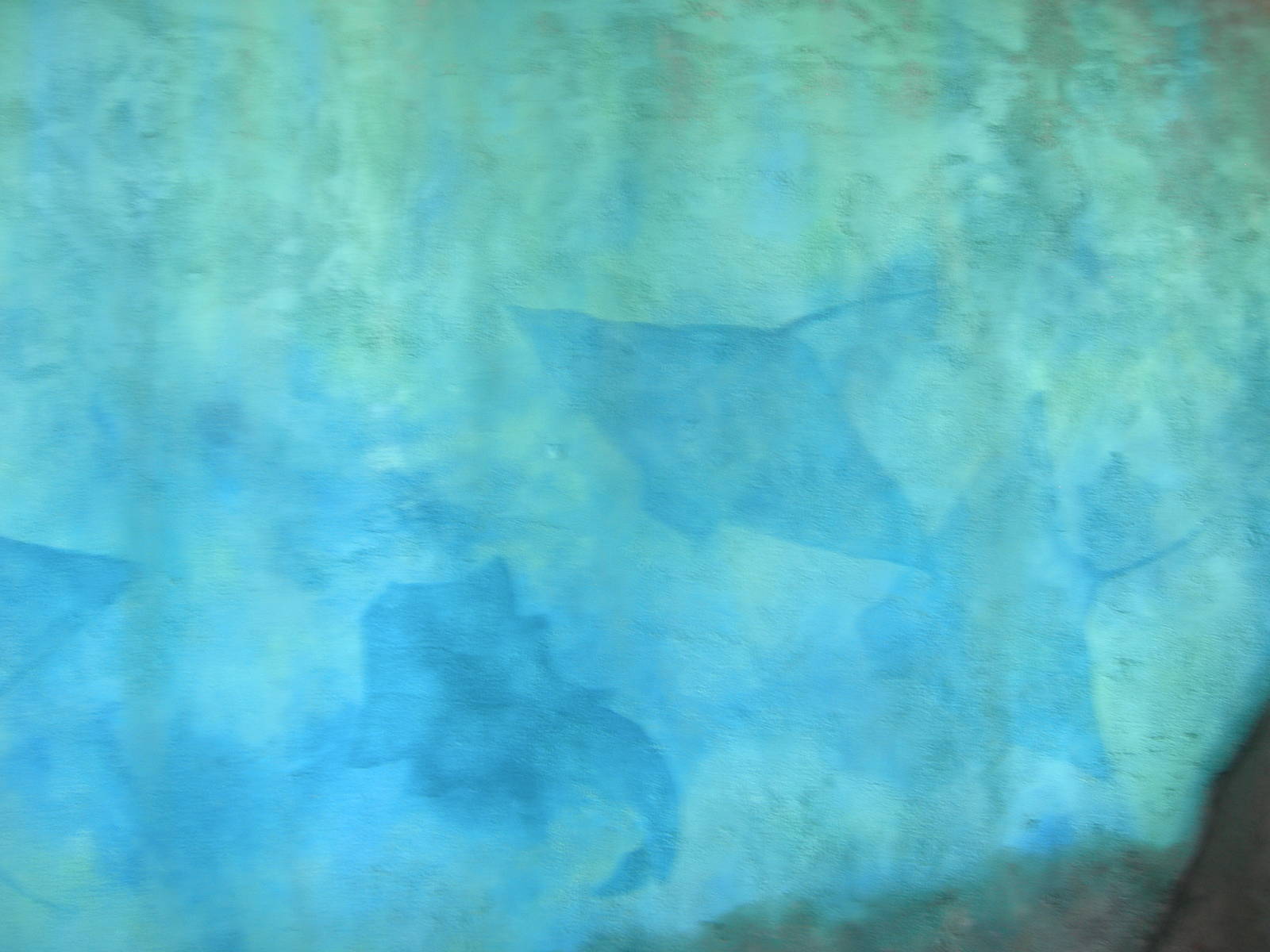 painting on stone wall as you enter the manta rollercoaster