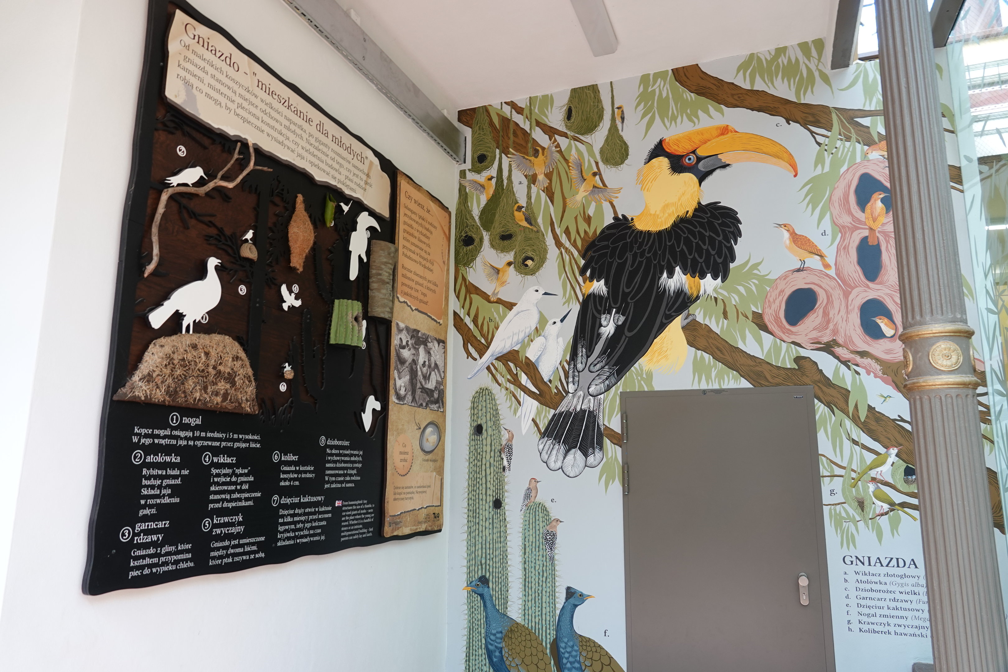 Paintings in the birdhouse