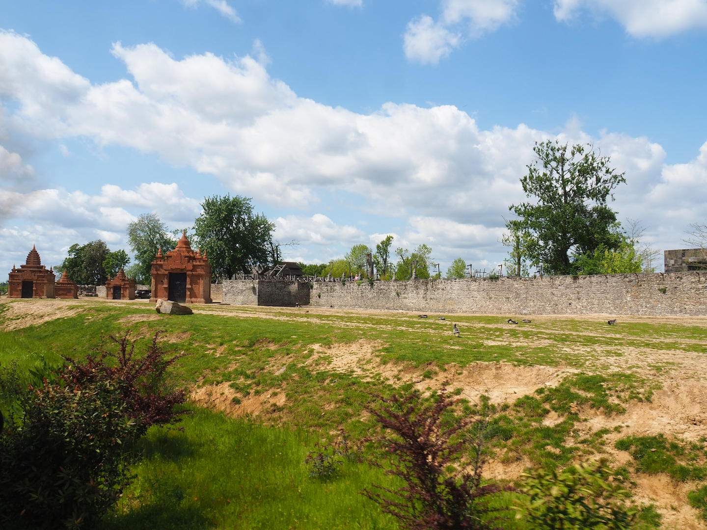 Pairi Daiza Steam Railway ride - First large Asian elephant paddock, 2023-05-16