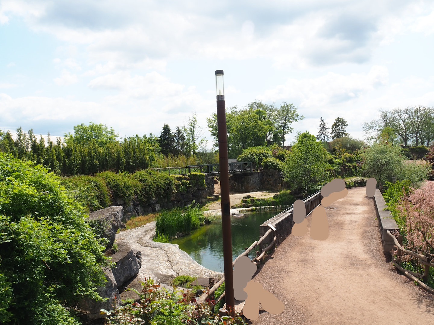 Pairi Daiza Steam Railway ride - Hippopotamus exhibit and walkway in The Land of Origins, 2023-05-16