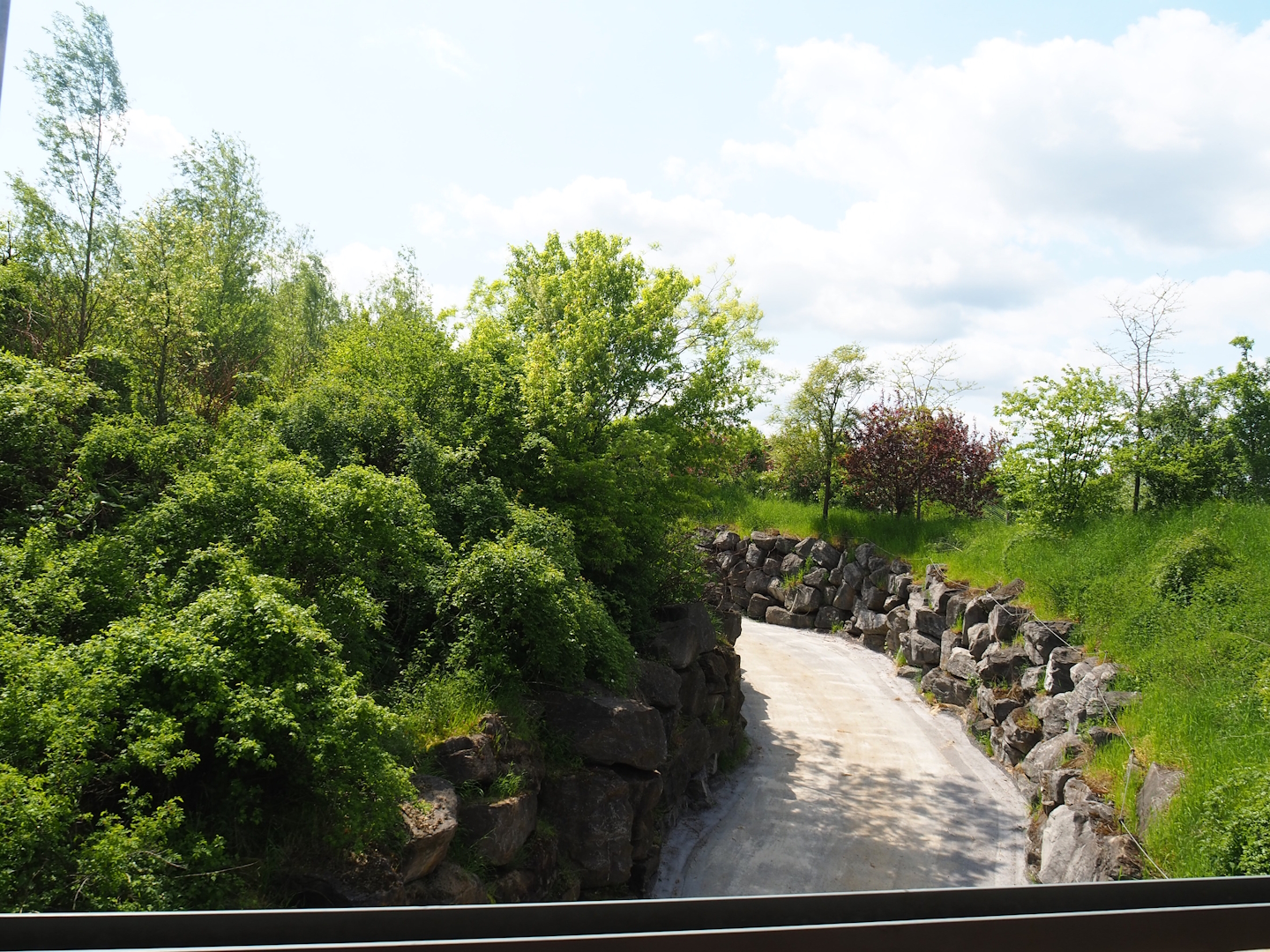 Pairi Daiza Steam Railway ride - Road for elephants between barn and paddocks, 2023-05-16