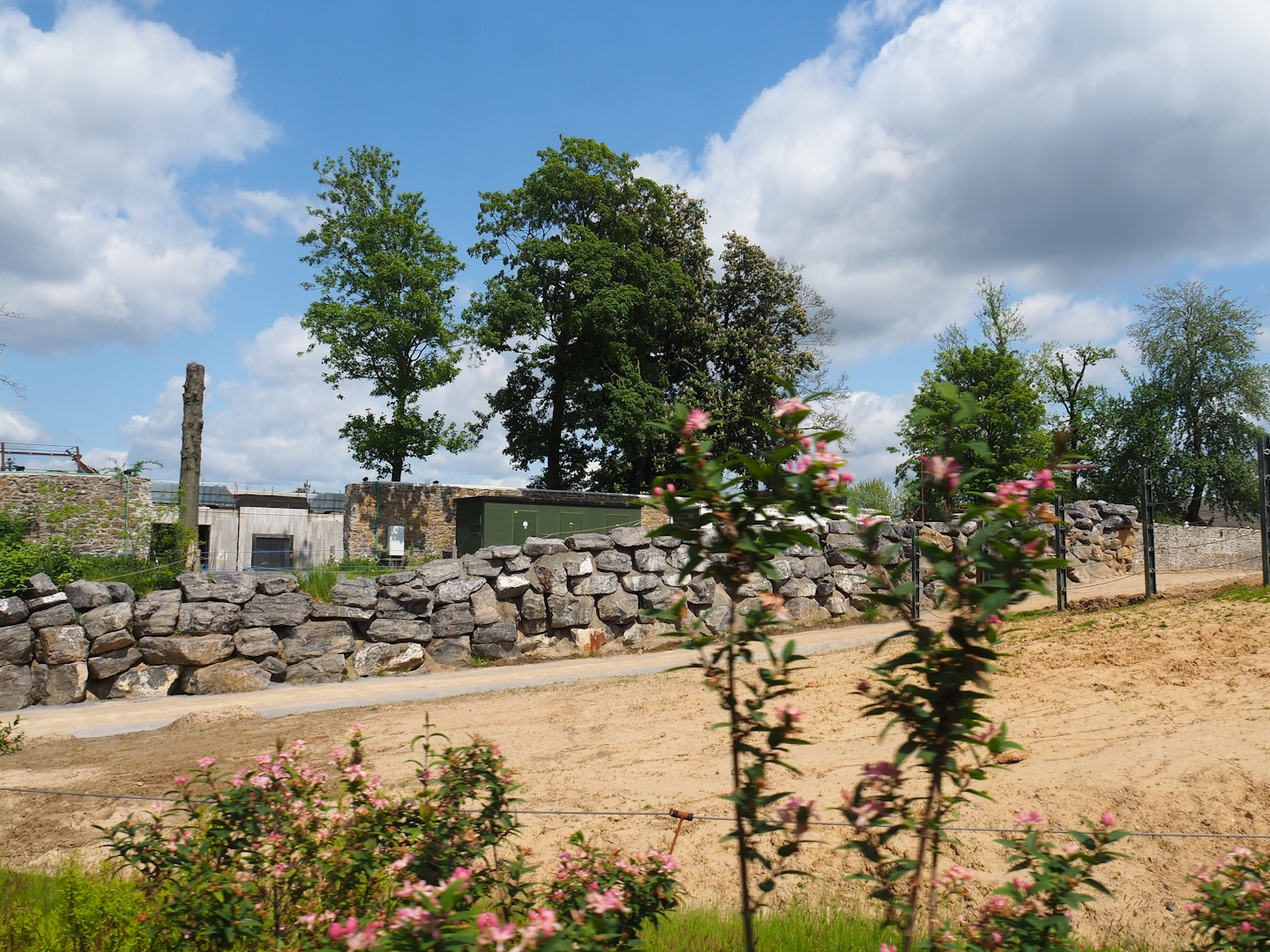 Pairi Daiza Steam Railway ride - Road in Asian elephant area and backside of The Land of the Cold exhibits, 2023-05-16