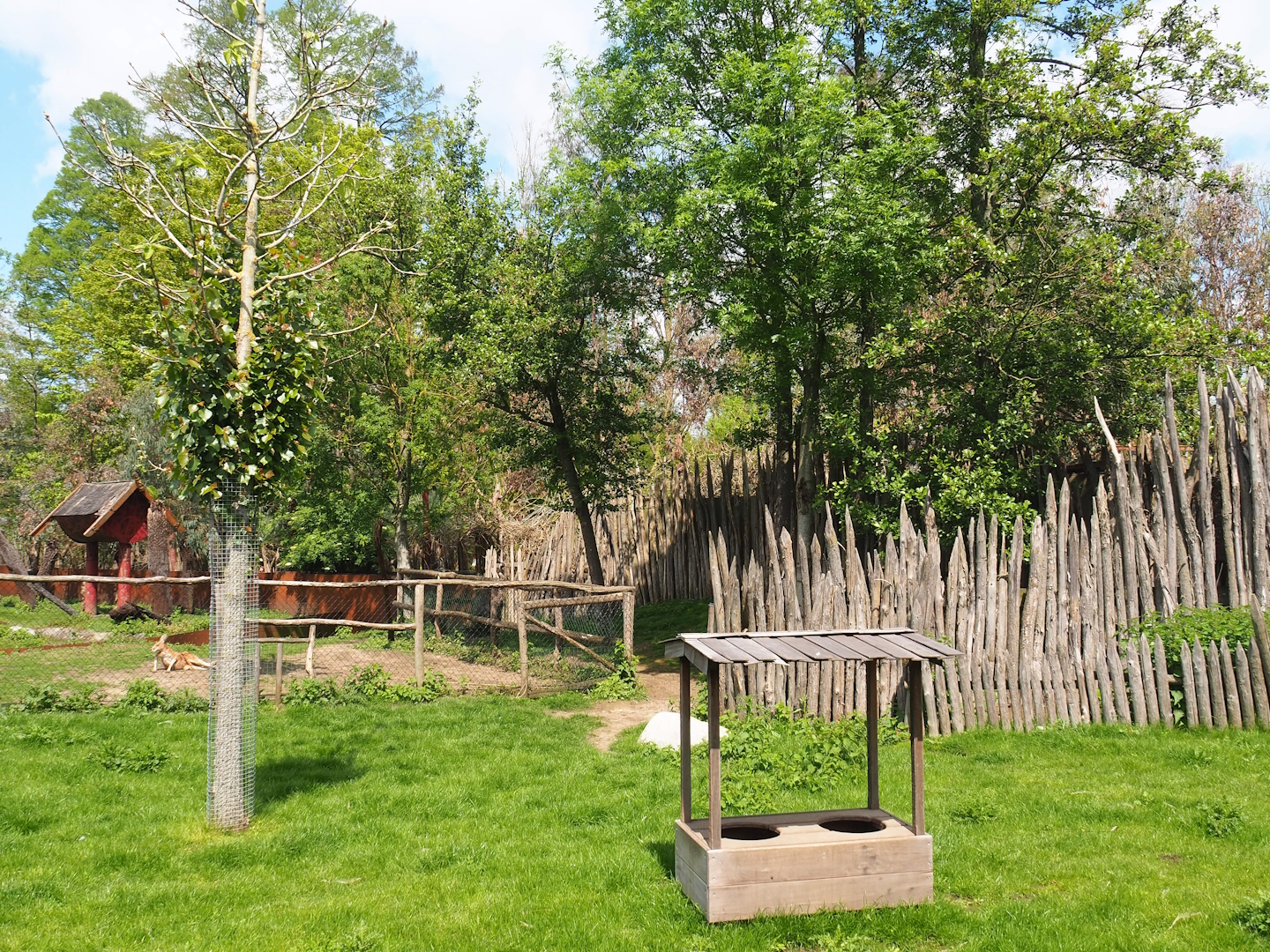 Pairi Daiza Steam Railway ride - Southern Cape Australia area - Kangaroo area, 2023-05-16