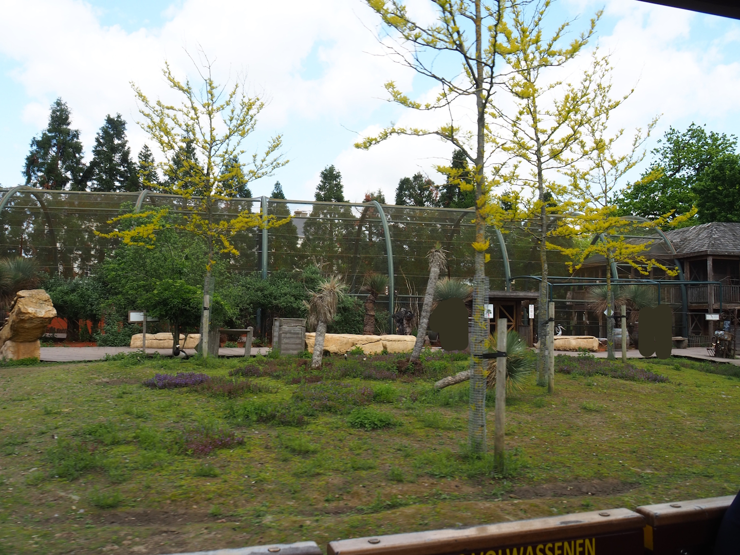 Pairi Daiza Steam Railway ride - Southern Cape Australia area - Kangaroo walk-through and Australian aviary, 2023-05-16