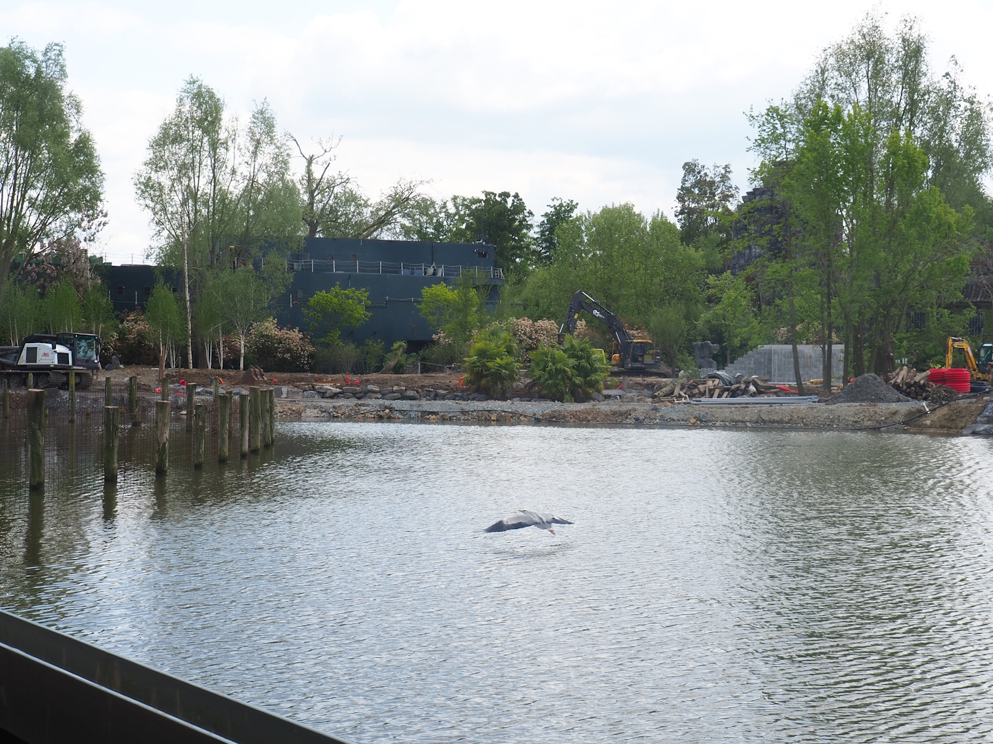 Pairi Daiza Steam Railway ride - View of future Japanese world "The Land of the Rising Sun" under construction and Mersus Emergo, 2023-05-16