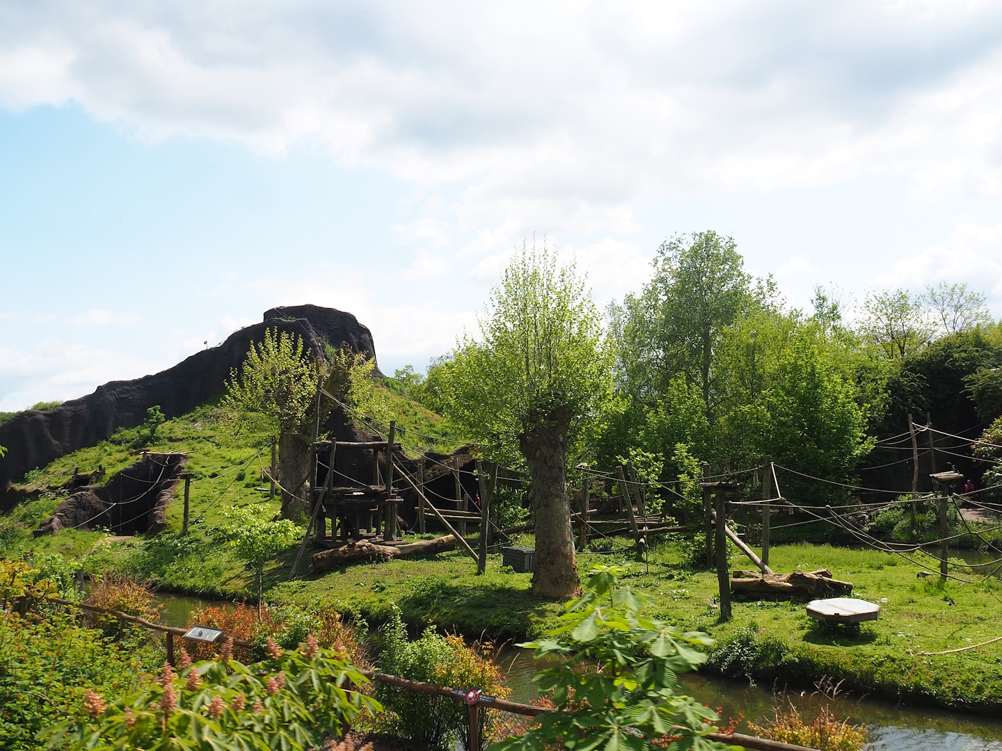Pairi Daiza Steam Railway ride - Western lowland gorilla island, 2023-05-16