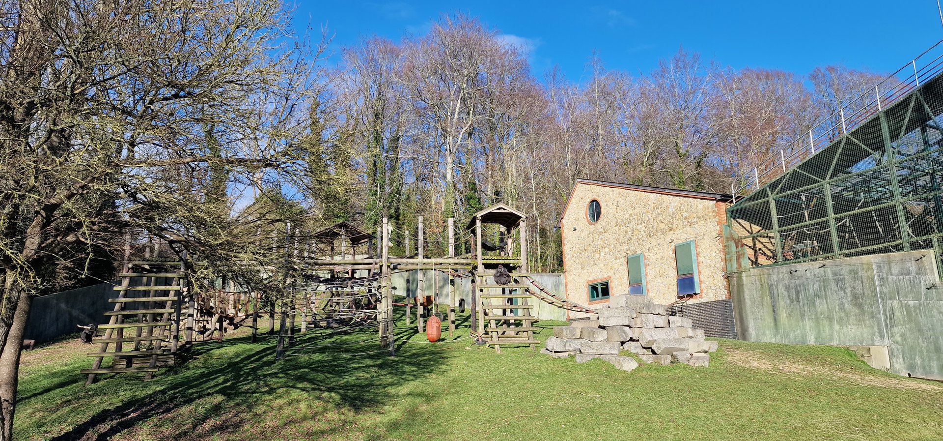 Palace of apes outdoor enclosure