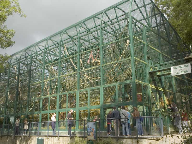 'Palace of the Apes' external cage