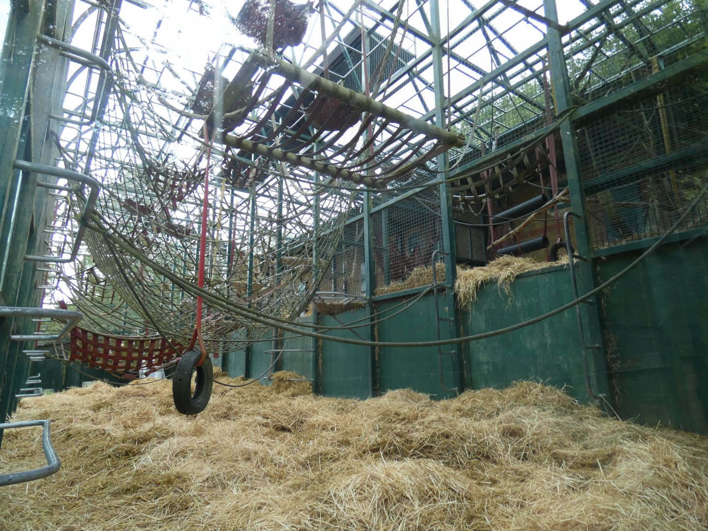 Palace of the Apes (Gorilla enclosure)