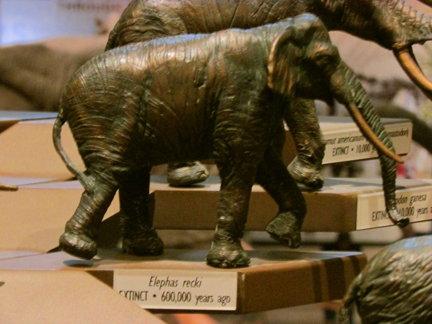 Palaeoloxodon Bronze Sculpture