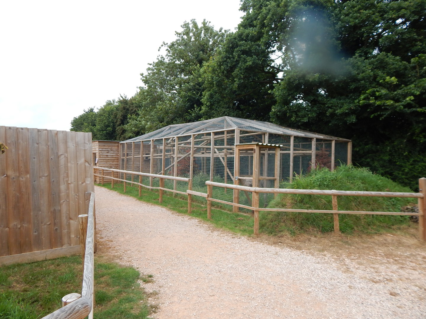 Palawan binturong enclosure 300623