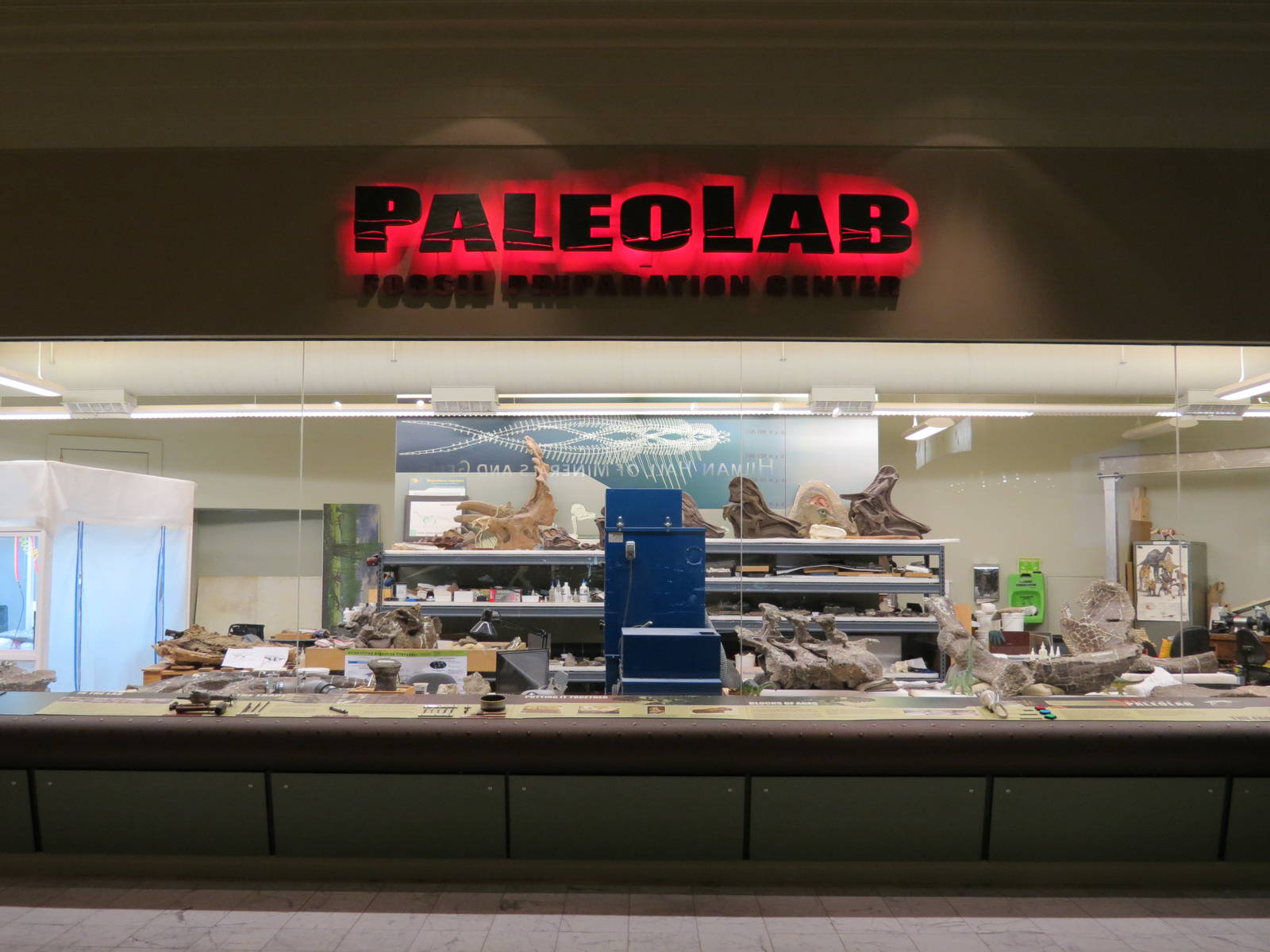 PaleoLab