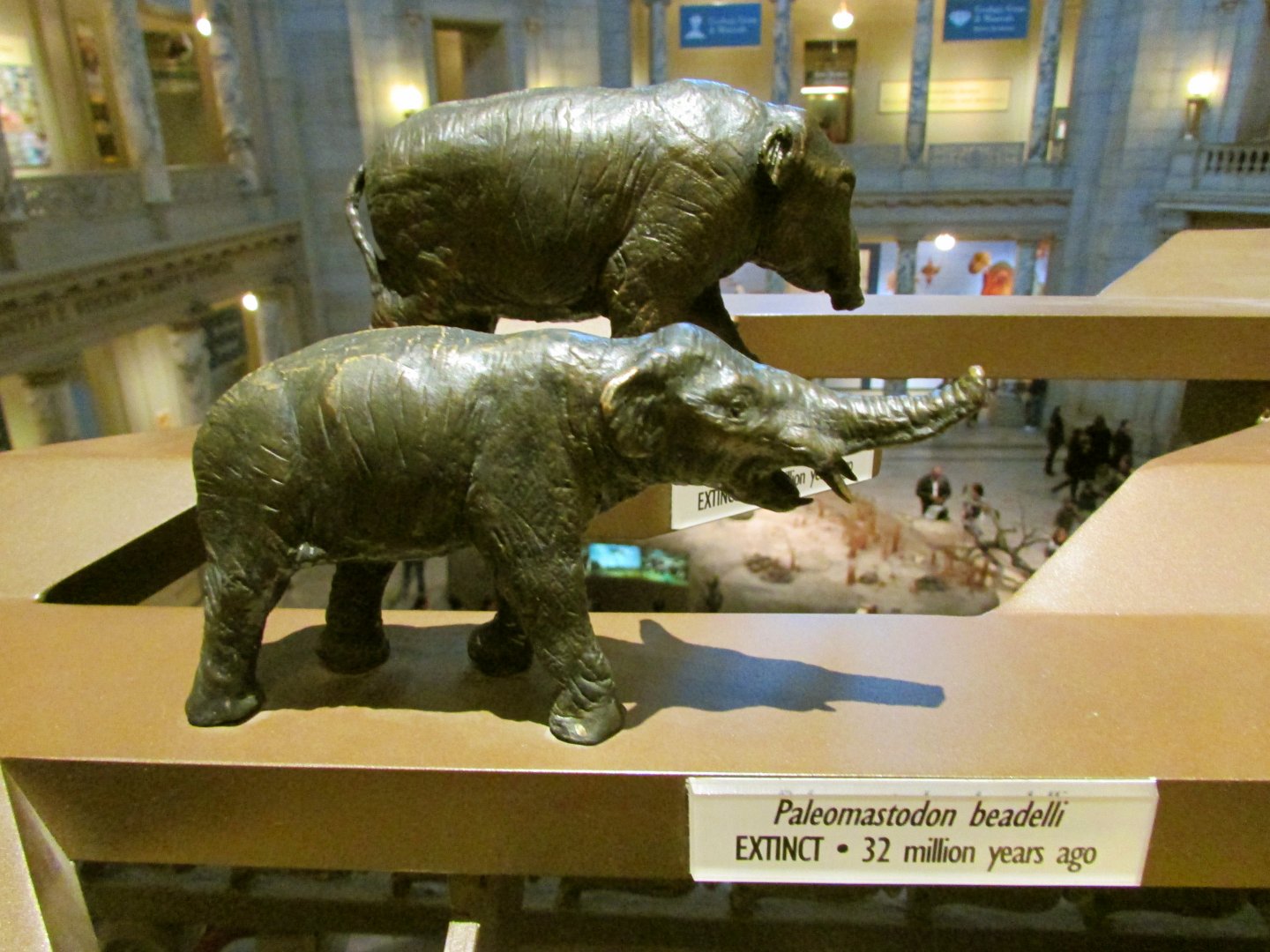 Paleomastodon Bronze Sculpture