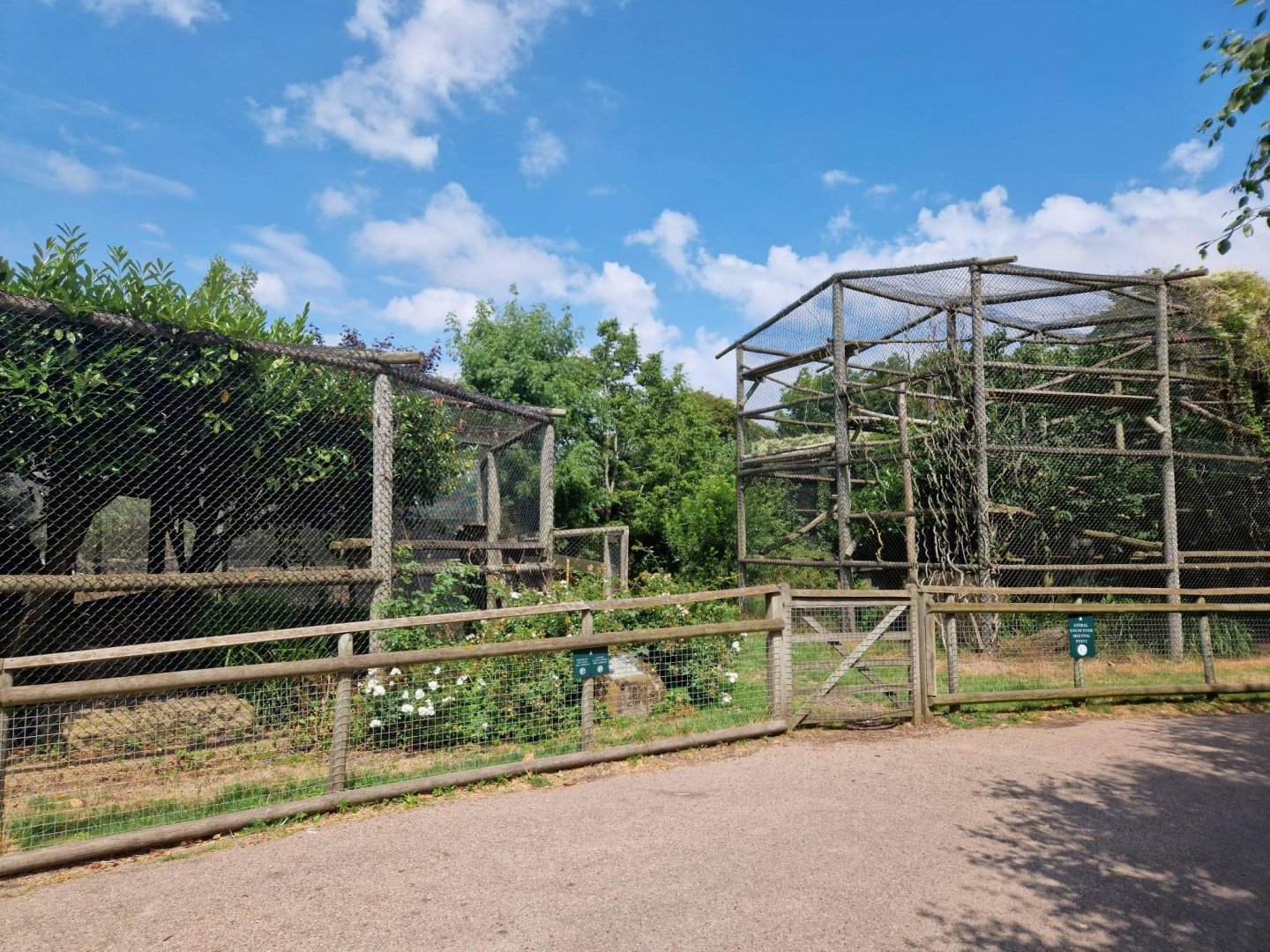 Pallas cat/Clouded Leopard exhibits