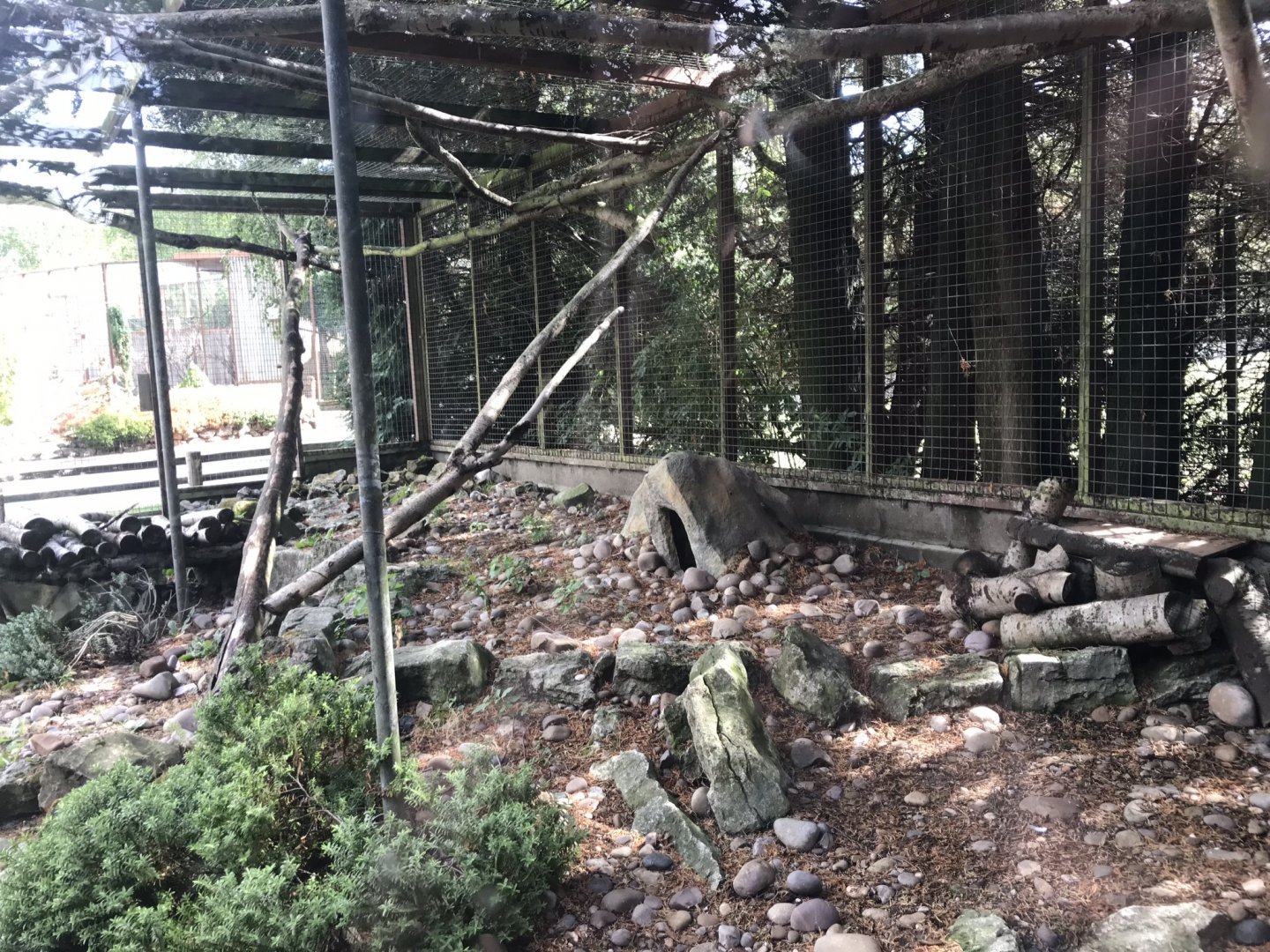 Pallas’ cat enclosure 100818