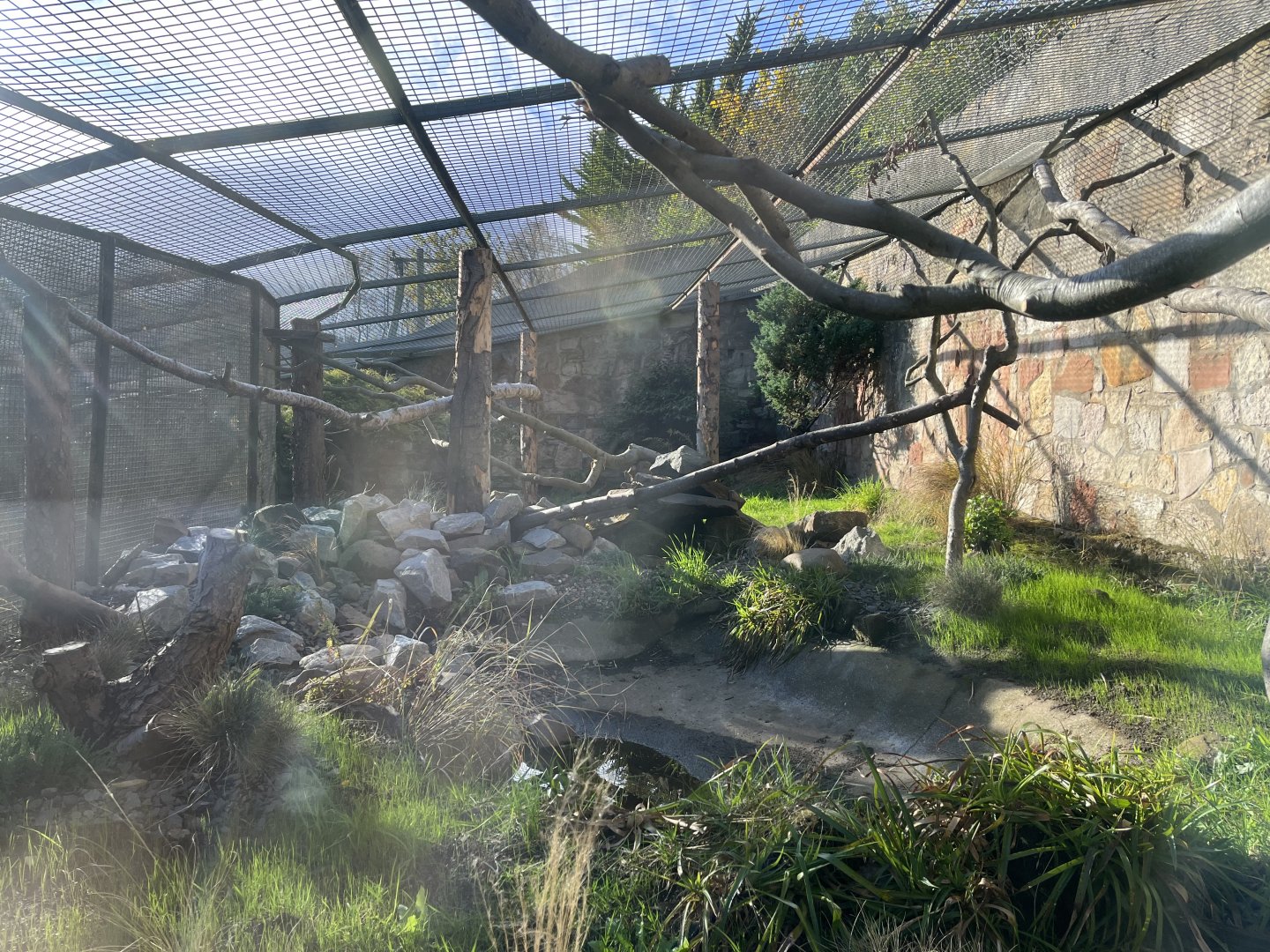 Pallas cat enclosure 17.10.24