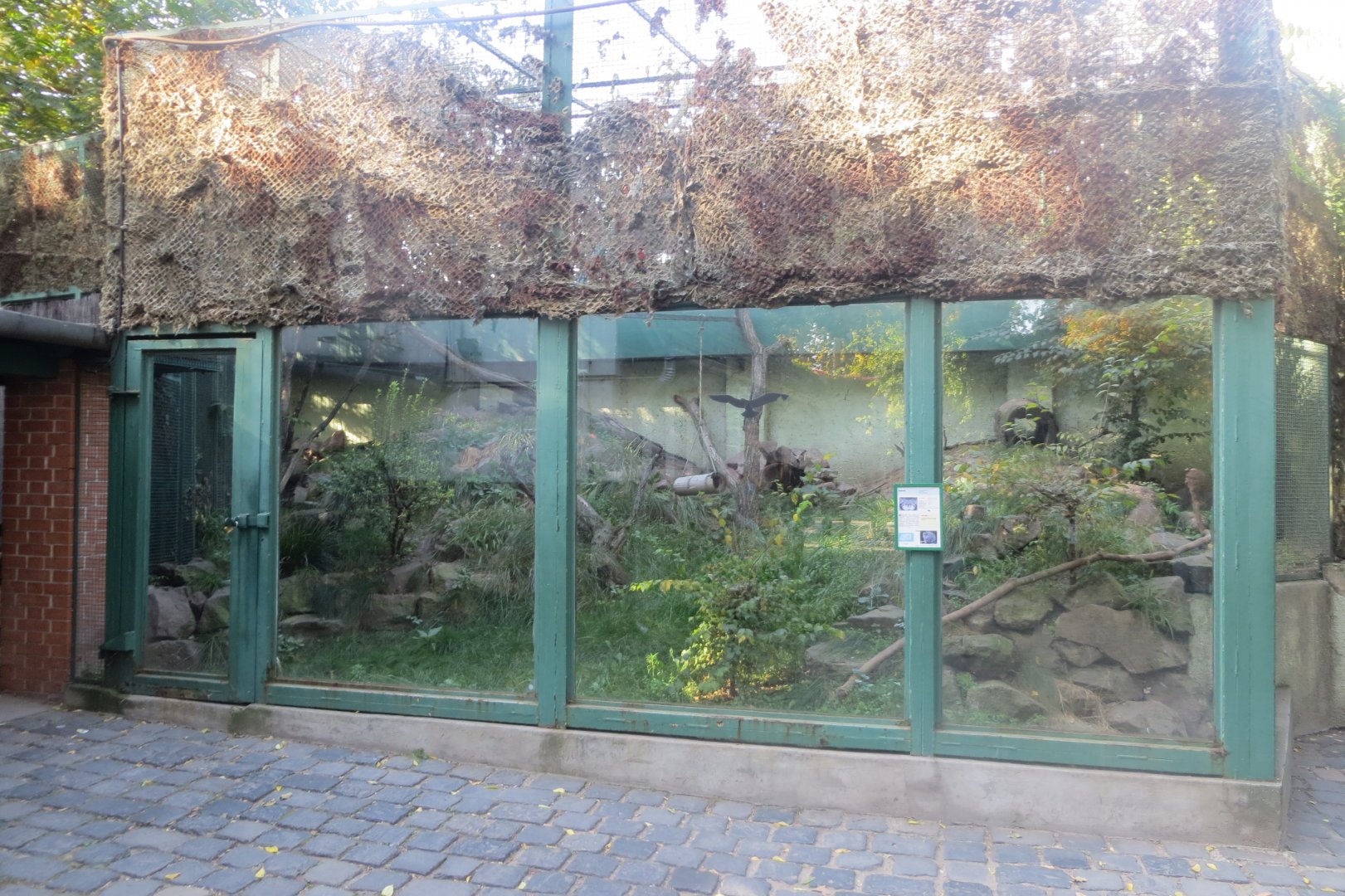 Pallas' cat enclosure 171018